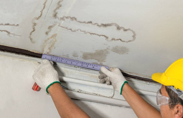 Reliable Burst Pipe Cleanup contractor in Springfield, VA by Local Water Damage Repair